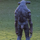 Illustration for article titled Meet the latest Doctor Who monster (not actually a giant cow)